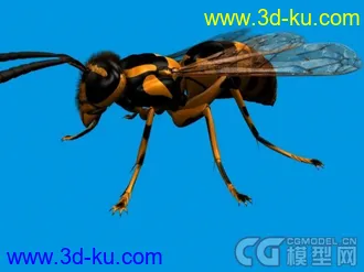常见昆虫模型下载的图片