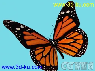 常见昆虫模型下载的图片