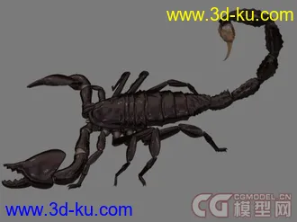 常见昆虫模型下载的图片