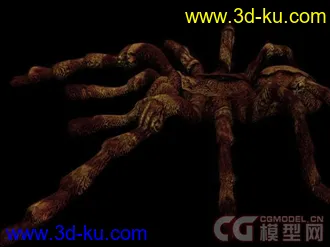 常见昆虫模型下载的图片