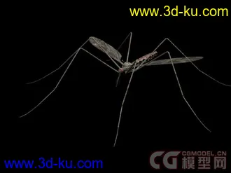 蚊子模型下载的图片