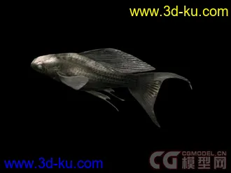 来个大的海洋动物合集模型下载的图片