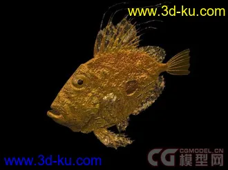 来个大的海洋动物合集模型下载的图片