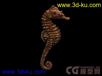来个大的海洋动物合集模型下载的图片