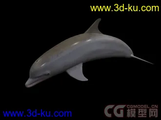 来个大的海洋动物合集模型下载的图片