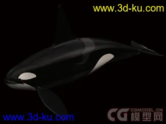 来个大的海洋动物合集模型下载的图片