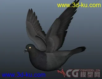 3D打印模型高精度 鸽子 （骨骼+动画）的图片