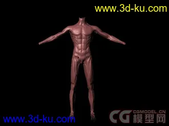 3D打印模型LEE李小龙的图片
