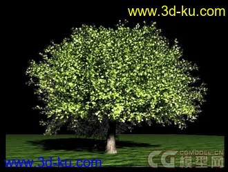 3D打印模型一棵会生长的树。须要GrowFX插件才能使用。（外加GrowFX插件下载）的图片
