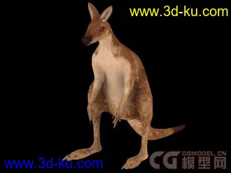 3D打印模型袋鼠一只 底模有贴图  有预览图的图片