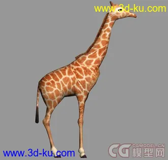 3D打印模型3D长颈鹿的图片