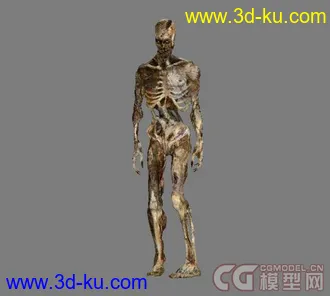 还是僵尸  昨在没发成功么??  有同学反应没有模型的图片