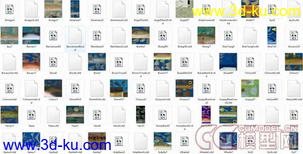 63种鱼小集合 3ds文件的 所有贴图模型的图片1