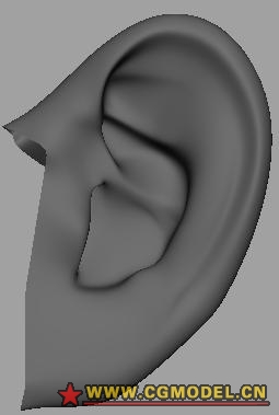 自己做的耳朵模型的图片1