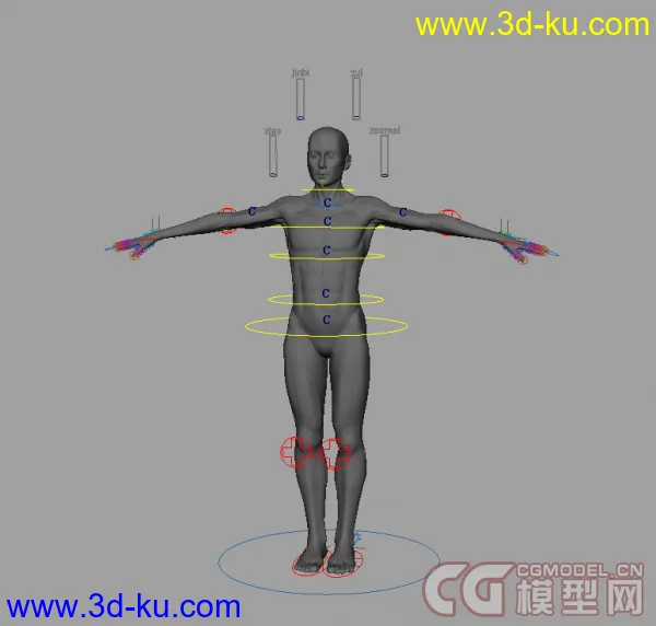 绑定好的男人，可做动画模型的图片1