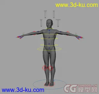 3D打印模型绑定好的男人，可做动画的图片