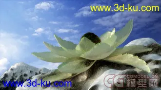 3D打印模型西藏雪莲花+动画的图片