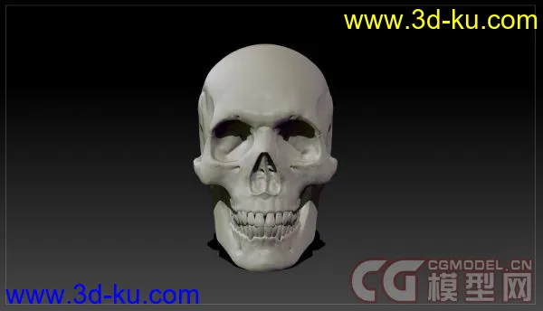 Skull_头骨雕刻_头骨模型下载（原创）的图片1