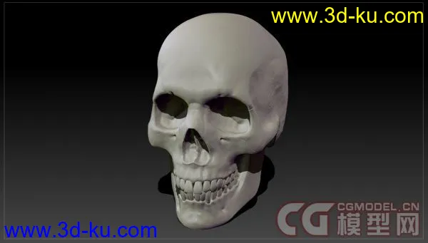 Skull_头骨雕刻_头骨模型下载（原创）的图片3