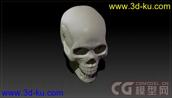 Skull_头骨雕刻_头骨模型下载（原创）的图片4