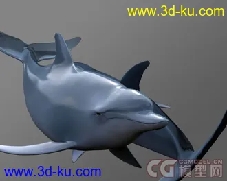 3D打印模型海豚的图片