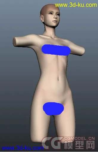 女体躯干模型下载，各部位细节逼真的图片