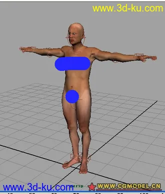 3D打印模型人体  ~  中性的图片