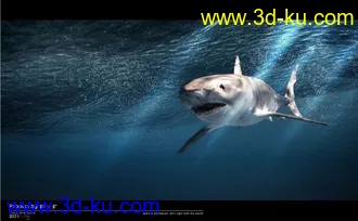3D打印模型水下~！鲨鱼【含场景贴图】MAX ~！的图片