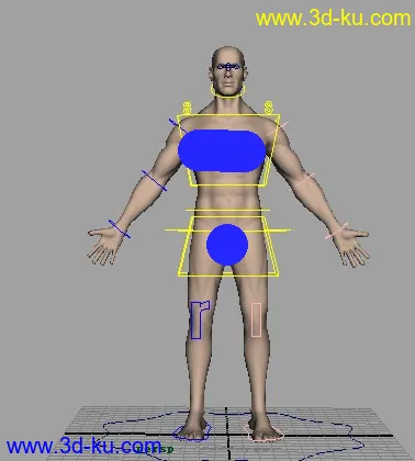 人体模型绑定的图片1