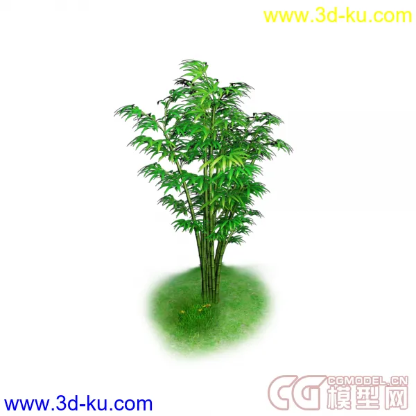 竹子，高模模型的图片1
