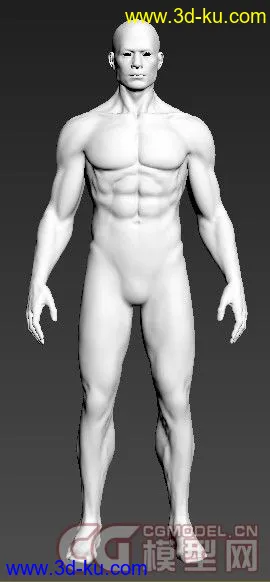 3D打印模型个人珍藏~~完美肌肉参考~~未塌陷，绝对极品~~~的图片