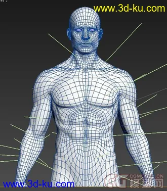 3D打印模型个人珍藏~~完美肌肉参考~~未塌陷，绝对极品~~~的图片