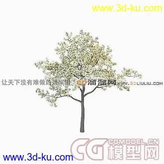 3D打印模型樱桃树的图片