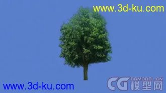 3D打印模型景观树的图片