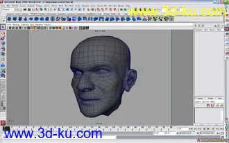 3D打印模型我做的男性头模的图片