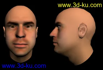 经典老外男人头部模型的图片