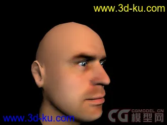 经典老外男人头部模型的图片