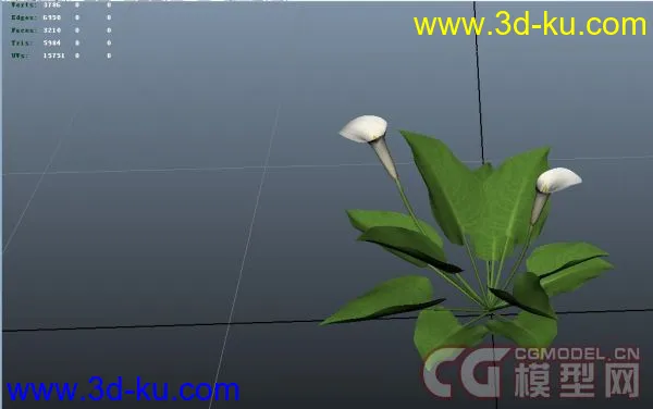马蹄花模型的图片1