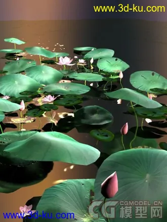 荷花max模型下载的图片