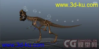 3D打印模型恐龙骨架，带绑定！的图片
