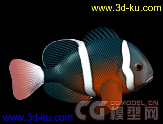 3D打印模型原版小丑鱼带骨骼带动画红色和黄色两种的图片