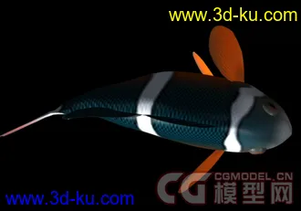 3D打印模型原版小丑鱼带骨骼带动画红色和黄色两种的图片