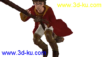 3D打印模型哈利波特之魁地奇比赛光轮2000（骨骼+动作+贴图）的图片