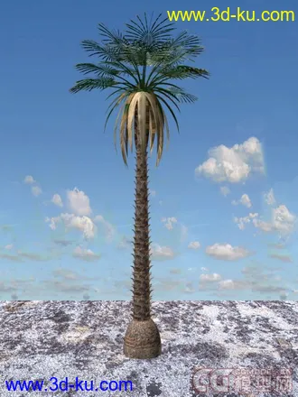 3D打印模型热带树的图片