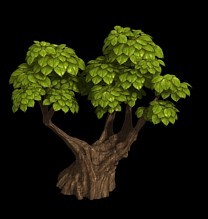 Q版植物分享模型的图片1