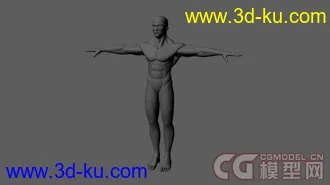 人体肌肉男模型的图片