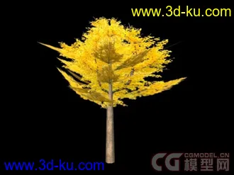 银杏树模型下载的图片