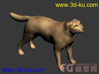 3D动物（狗，老鹰，乌龟）模型下载的图片