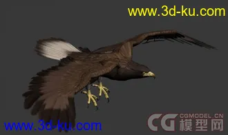 3D动物（狗，老鹰，乌龟）模型下载的图片