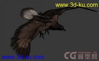 3D动物（狗，老鹰，乌龟）模型下载的图片